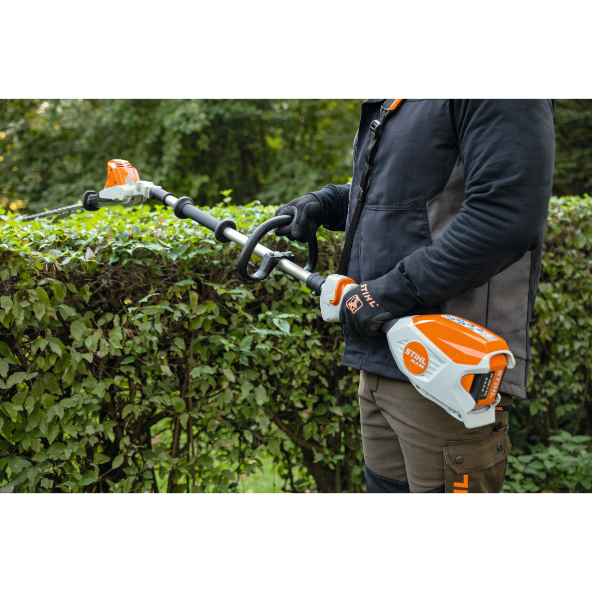 Taille-haie sur perche à batterie STIHL HLA 66