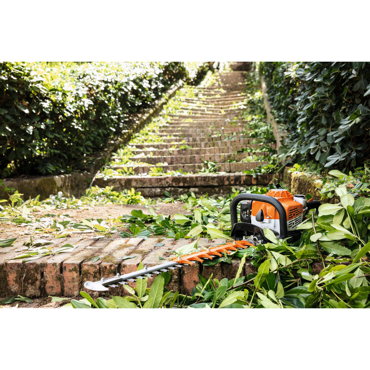Taille-haie thermique 600mm STIHL HS 82 T