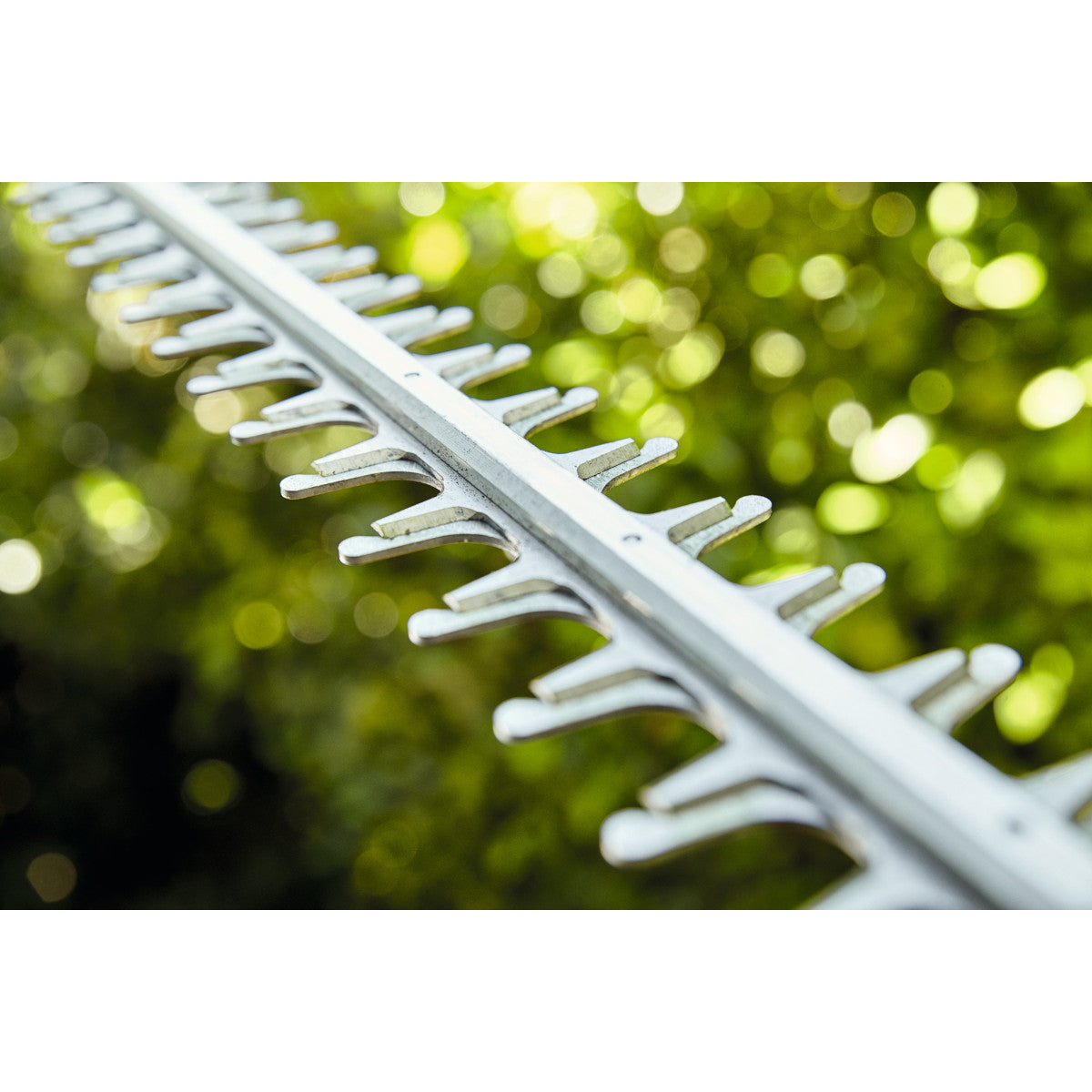 Taille-haie électrique STIHL HSE 71 60cm