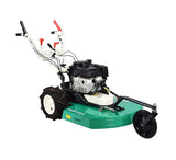 Tondeuse débrousailleuse thermique OREC SH 71 H