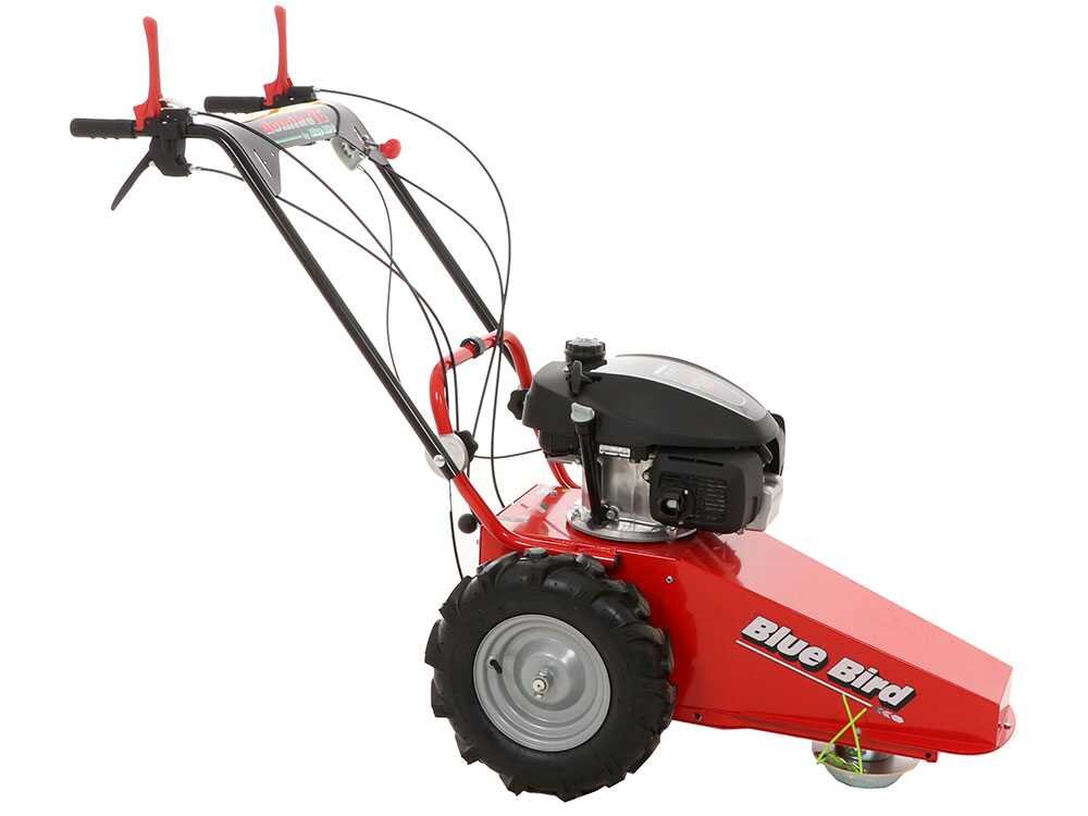 blue bird domino tondeuse débroussailleuse thermique lame et fil honda gcv 200 blue bird domino tondeuse débroussailleuse thermique lame et fil honda gcv 200