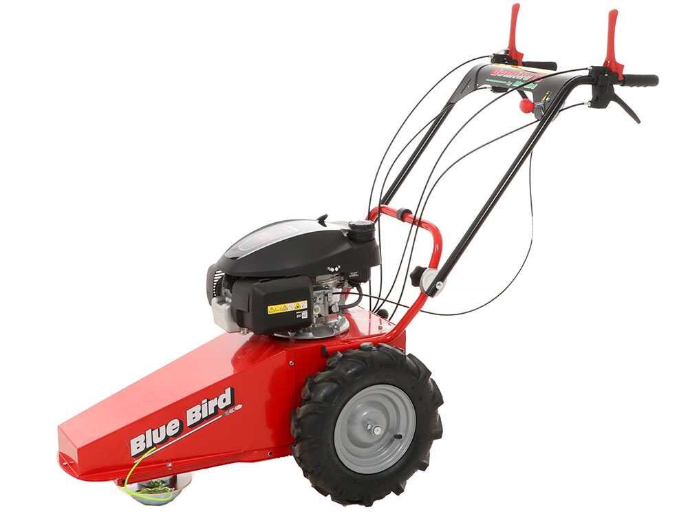 blue bird domino tondeuse débroussailleuse thermique lame et fil honda gcv 200 blue bird domino tondeuse débroussailleuse thermique lame et fil honda gcv 200
