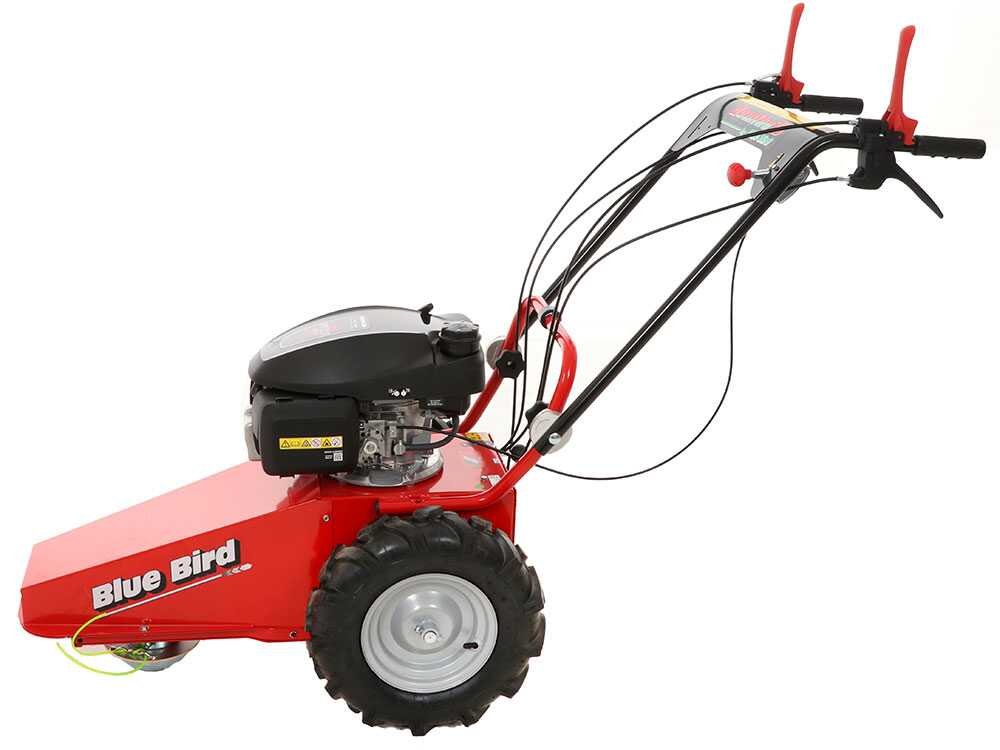 blue bird domino tondeuse débroussailleuse thermique lame et fil honda gcv 200 blue bird domino tondeuse débroussailleuse thermique lame et fil honda gcv 200