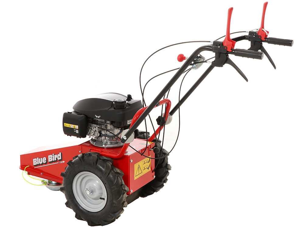 blue bird domino tondeuse débroussailleuse thermique lame et fil honda gcv 200 blue bird domino tondeuse débroussailleuse thermique lame et fil honda gcv 200
